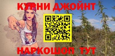 гидра Берёзовский