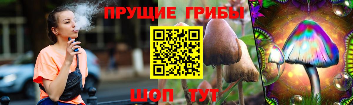 Белореченск  Псилоцибиновые грибы ЛСД  купить наркоту  Псилоцибиновые грибы мицелий  Вход с VPN 